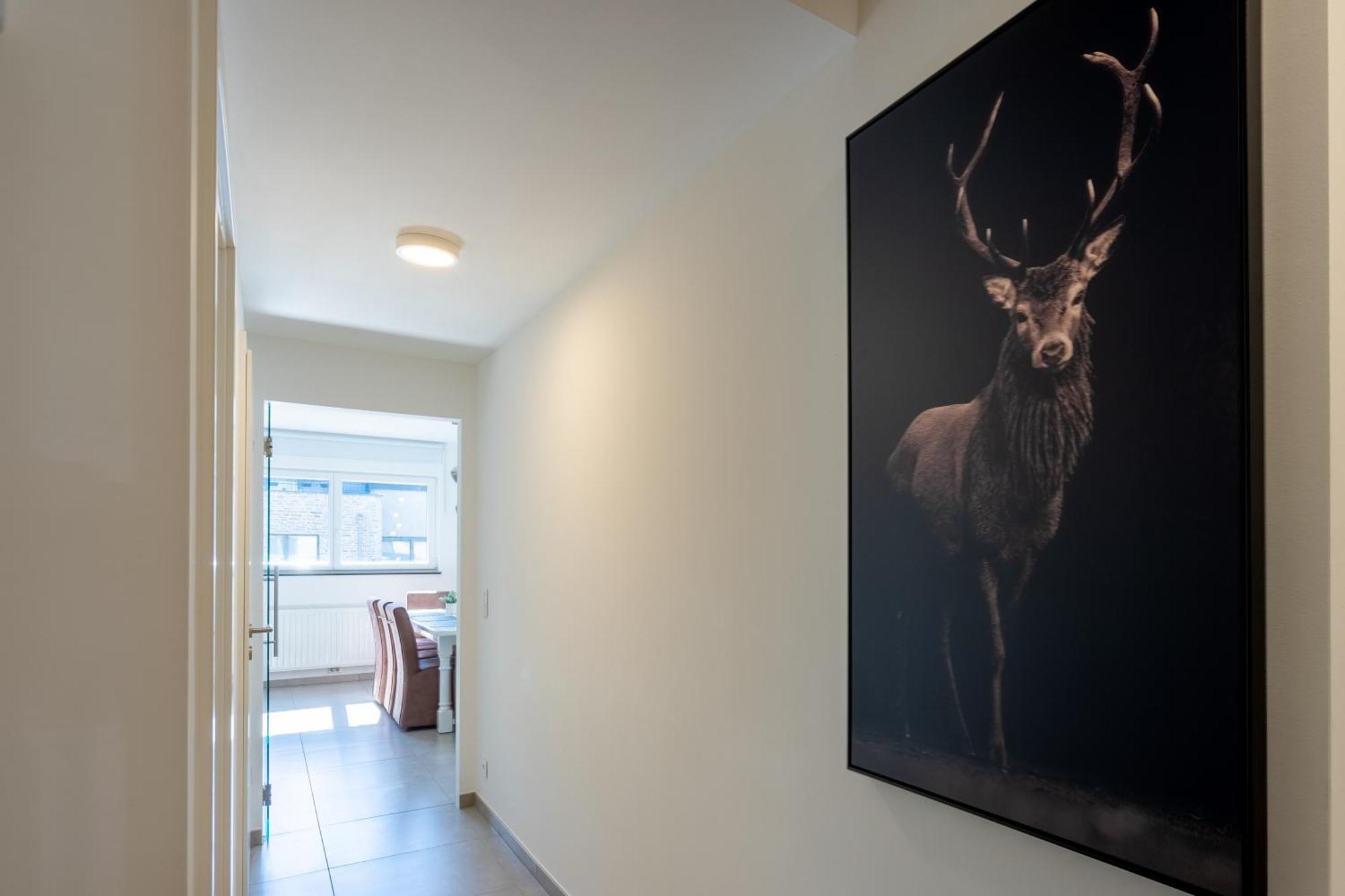 Cedrien Terrace Apartment La-Roche-en-Ardenne Ngoại thất bức ảnh